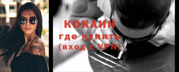 сатива Лагань