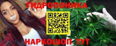 a pvp Гусев