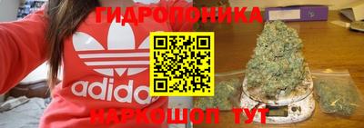 ALPHA-PVP Бийск