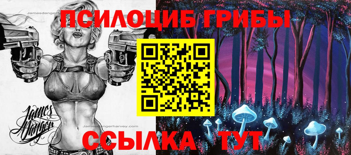 Галлюциногенные грибы MAGIC MUSHROOMS Ессентуки