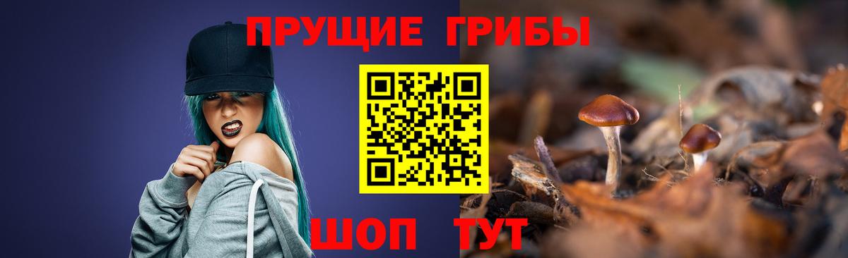 где можно купить наркотик  Галлюциногенные грибы Cubensis  Вход с VPN  Ессентуки 